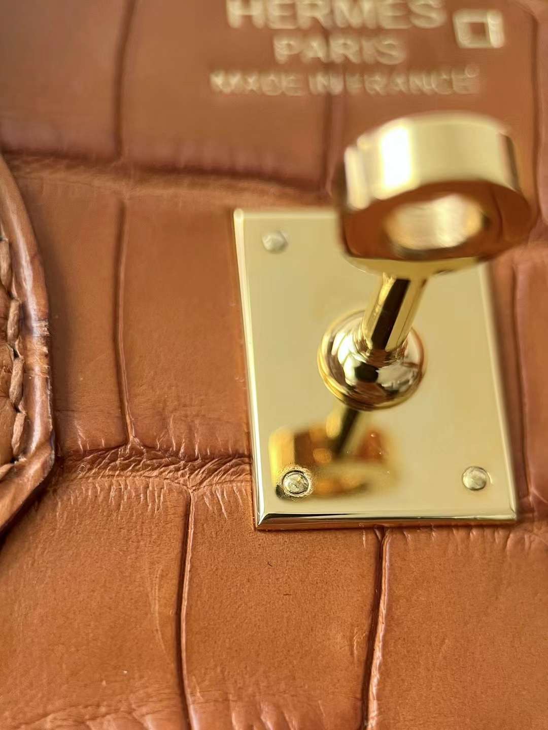 HM bk 20cm crocodile ck37 gold