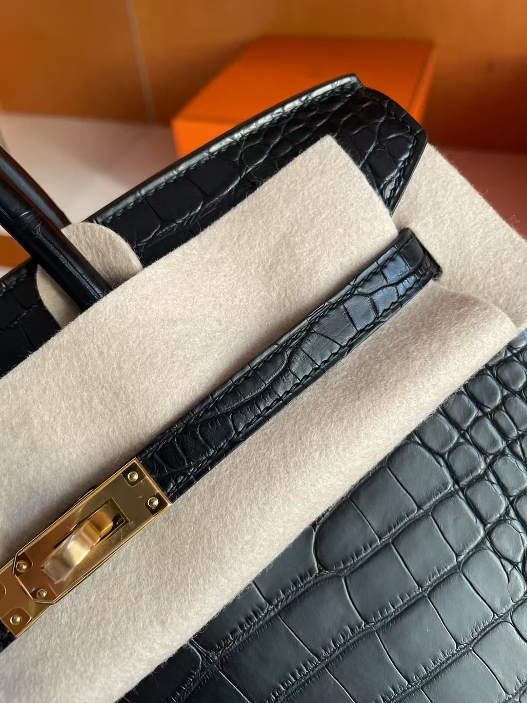 BK25 Crocodile Aligator Matte CK89 Noir