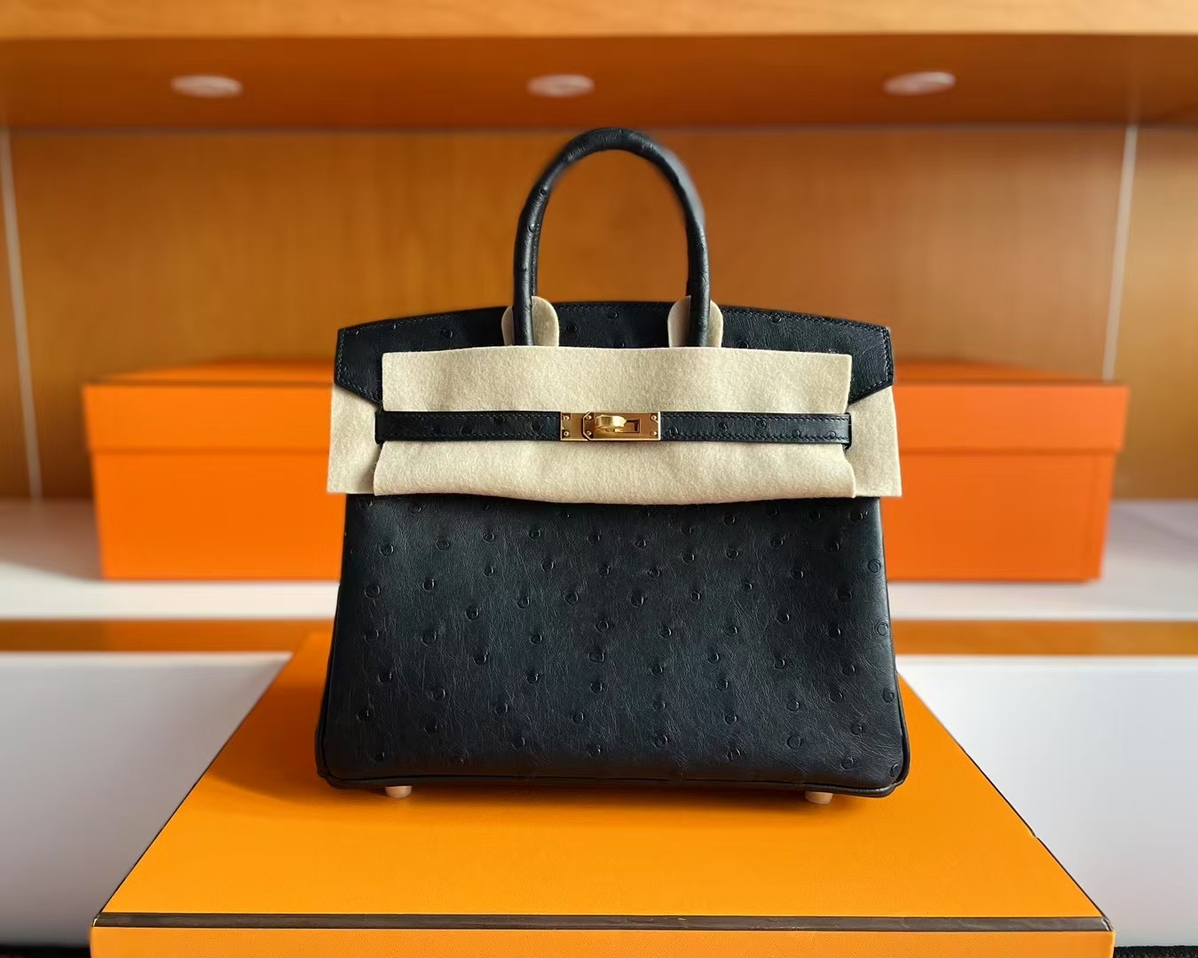 B25 Ostrich Ck89 Noir