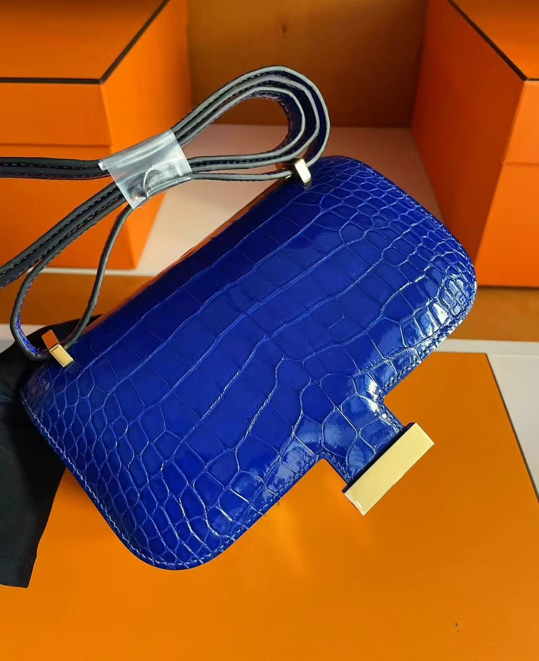 C19 Crocodile Blue Color