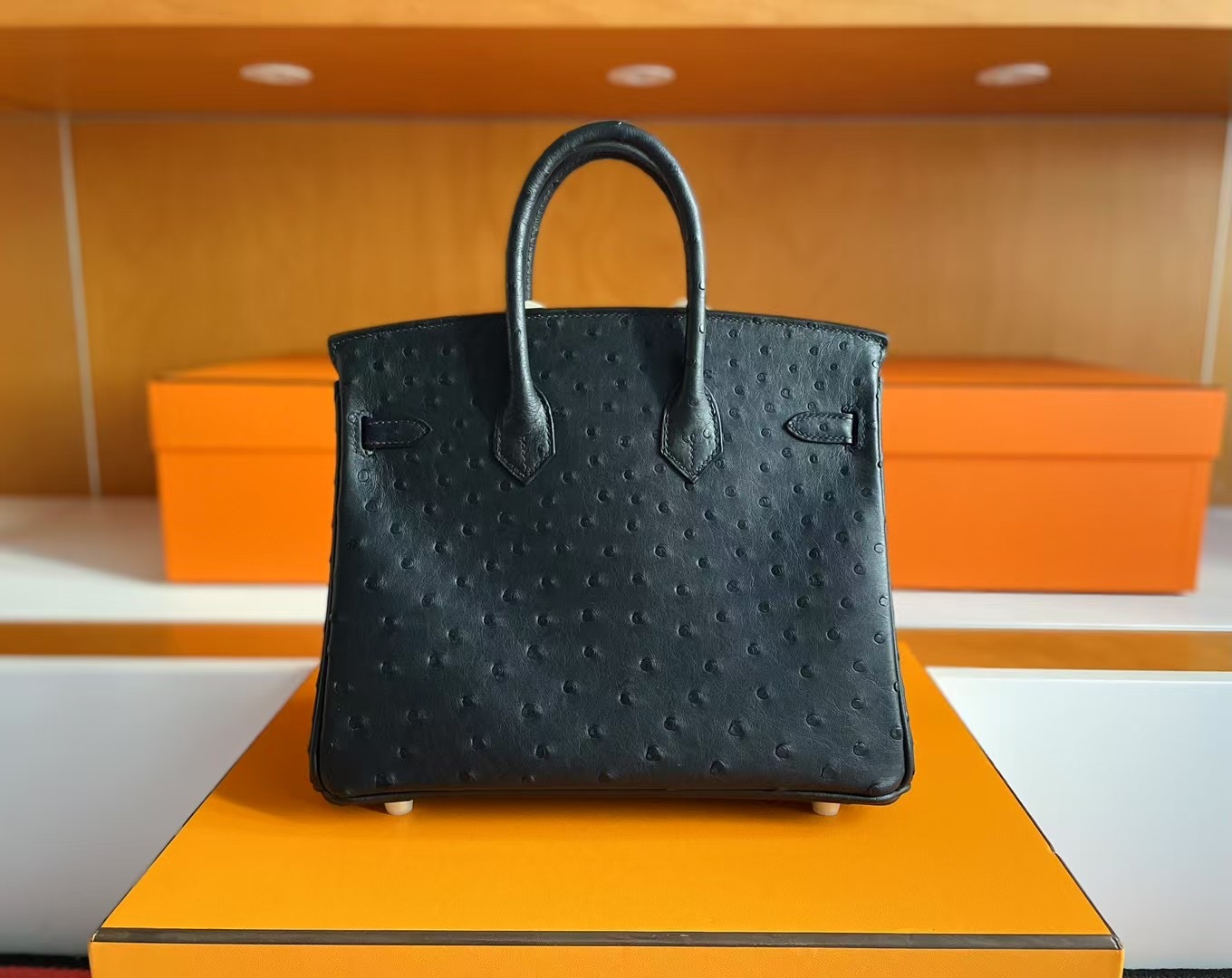 B25 Ostrich Ck89 Noir