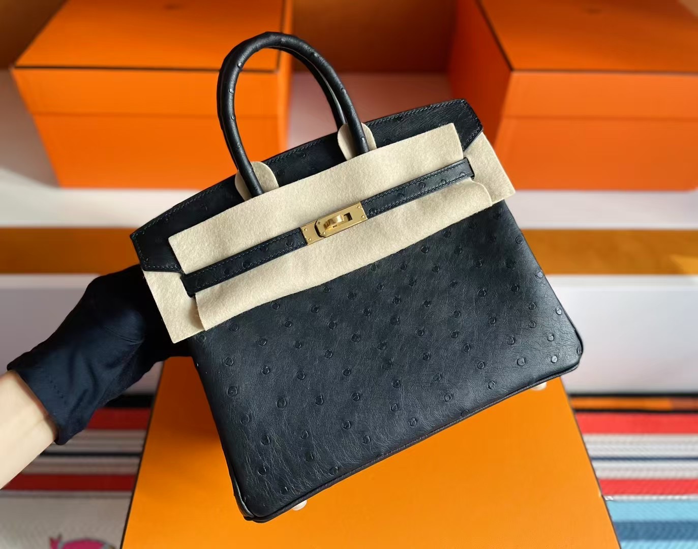B25 Ostrich Ck89 Noir