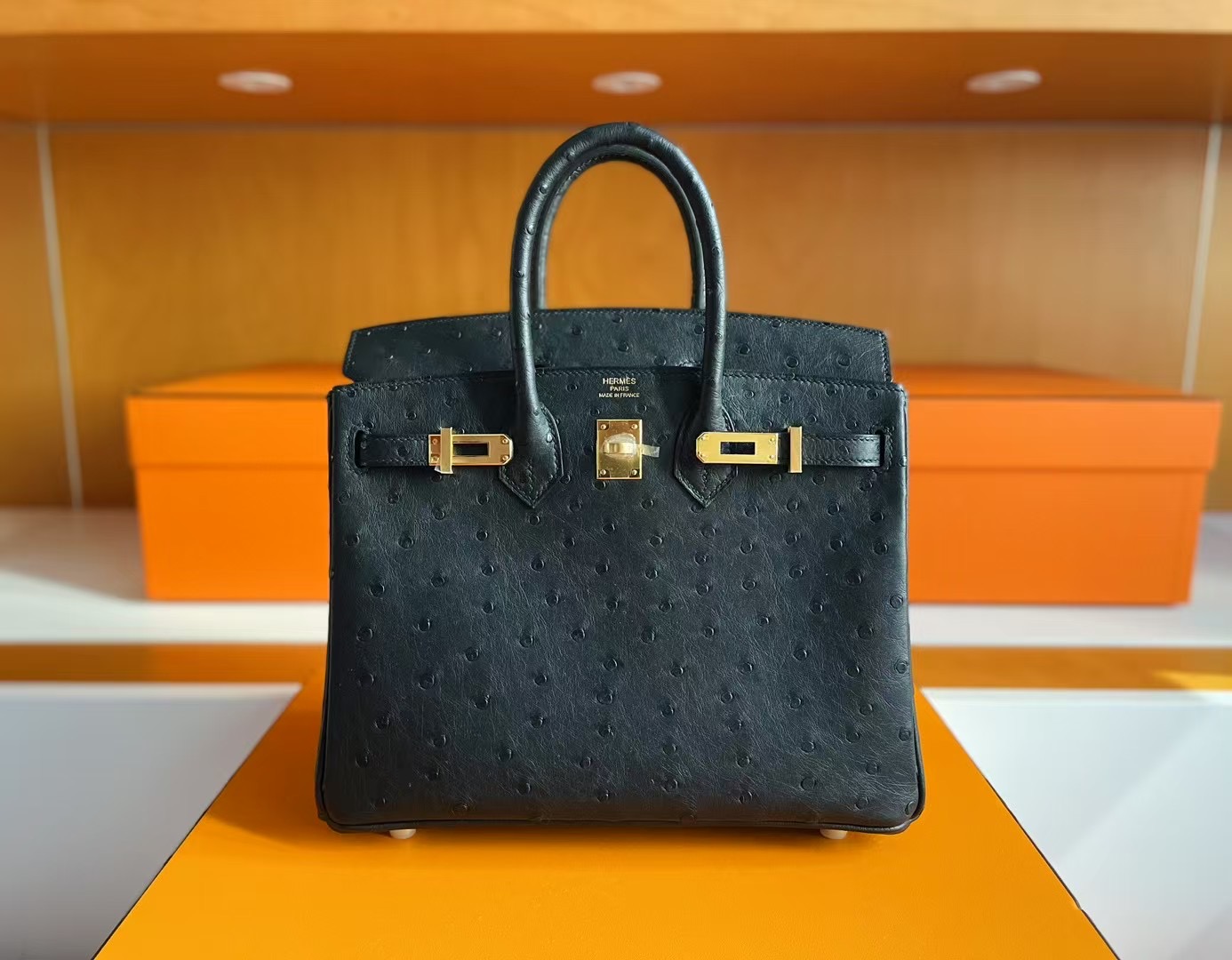 B25 Ostrich Ck89 Noir