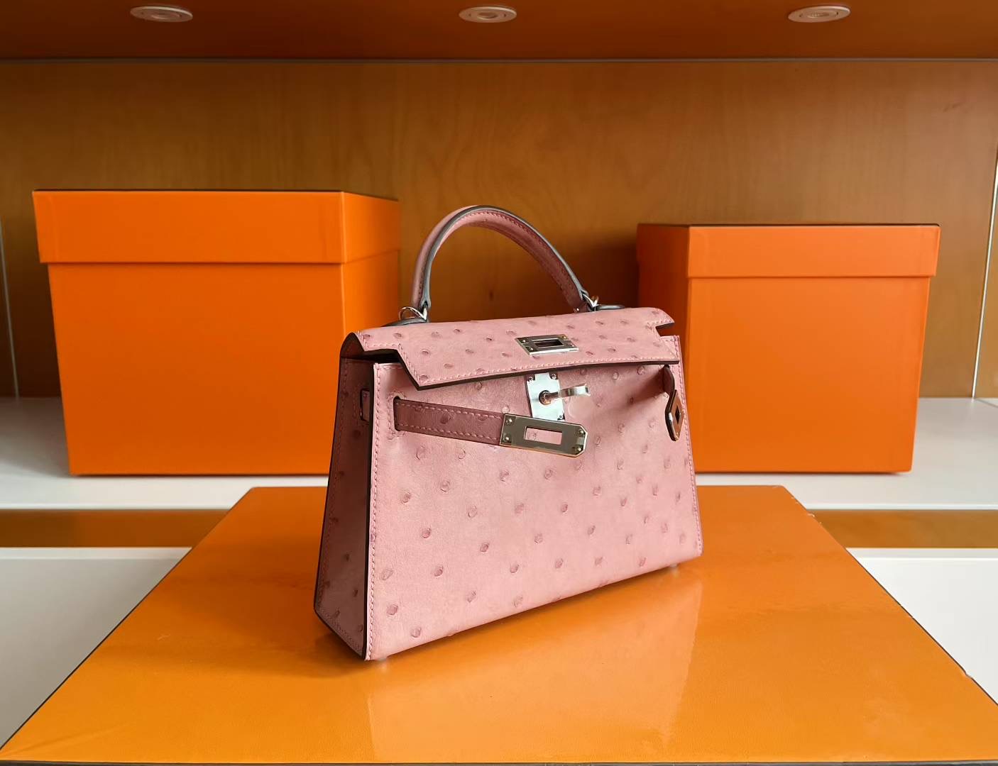 Mini KL2 Ostrich Ck94 Terre Cuite