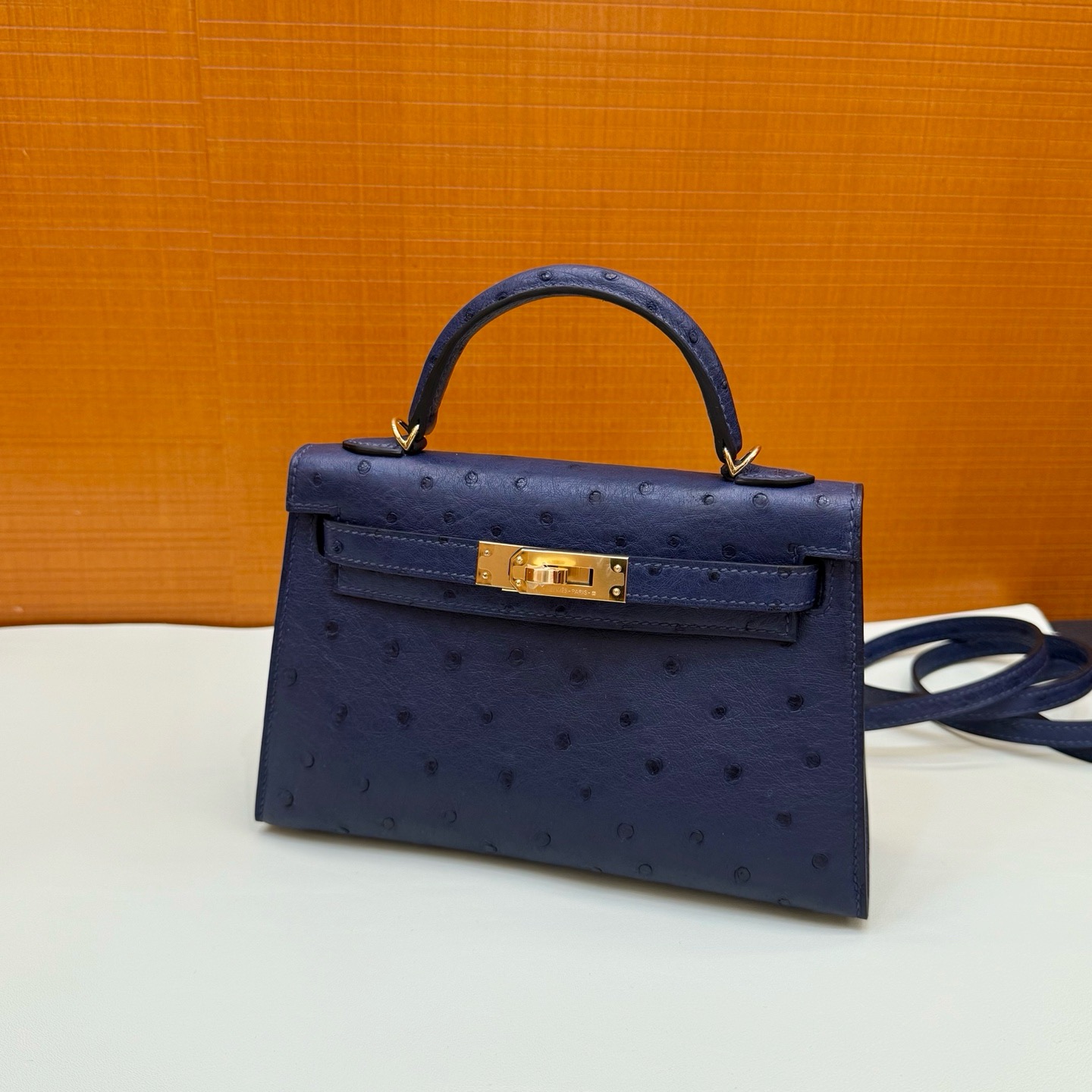 Mini KL 19cm Ostrich C73 Blue Sapphire Ghw
