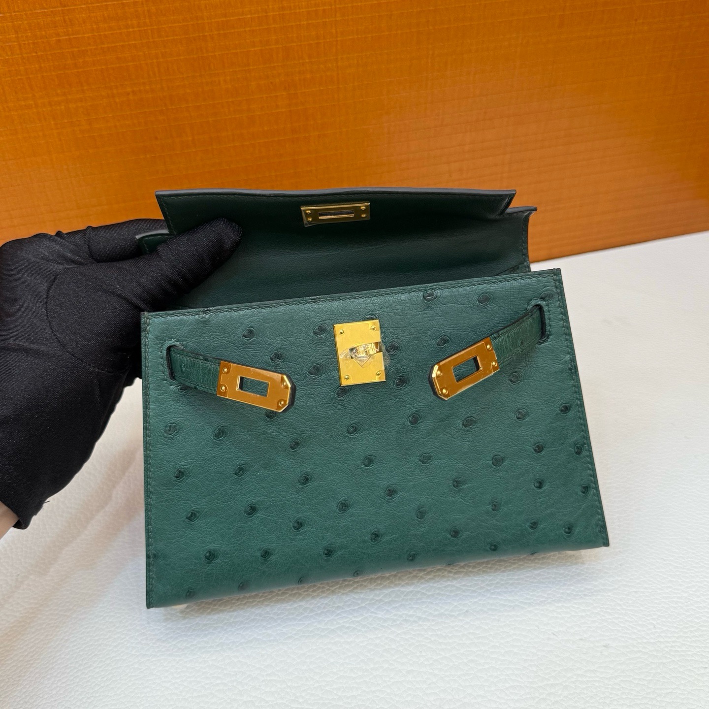 Mini KL Ostrich C67 Vert Foncé