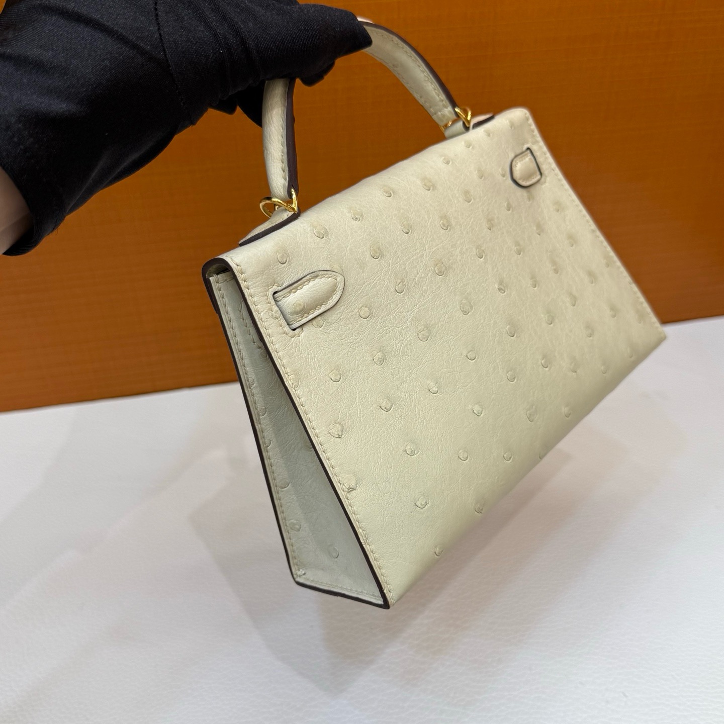 Mini KL Ostrich 3C Parchemin