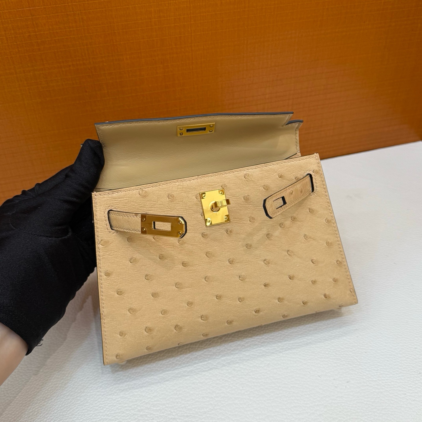 Mini KL 19cm Ostrich C19 Mousse