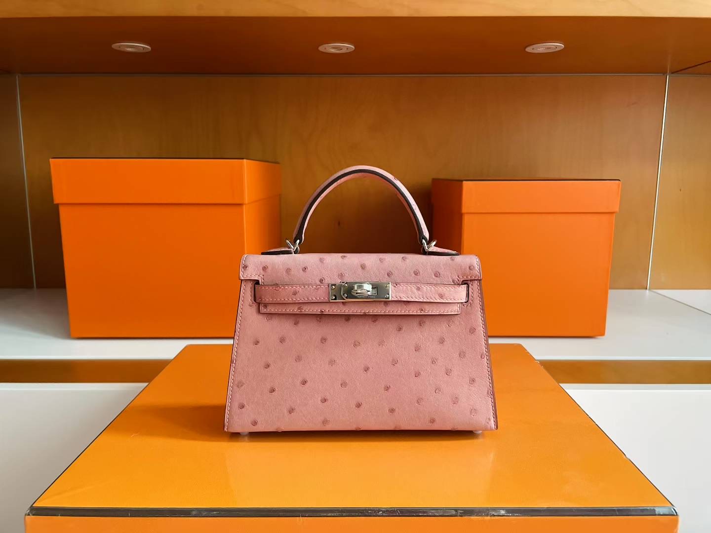 Mini KL2 Ostrich Ck94 Terre Cuite