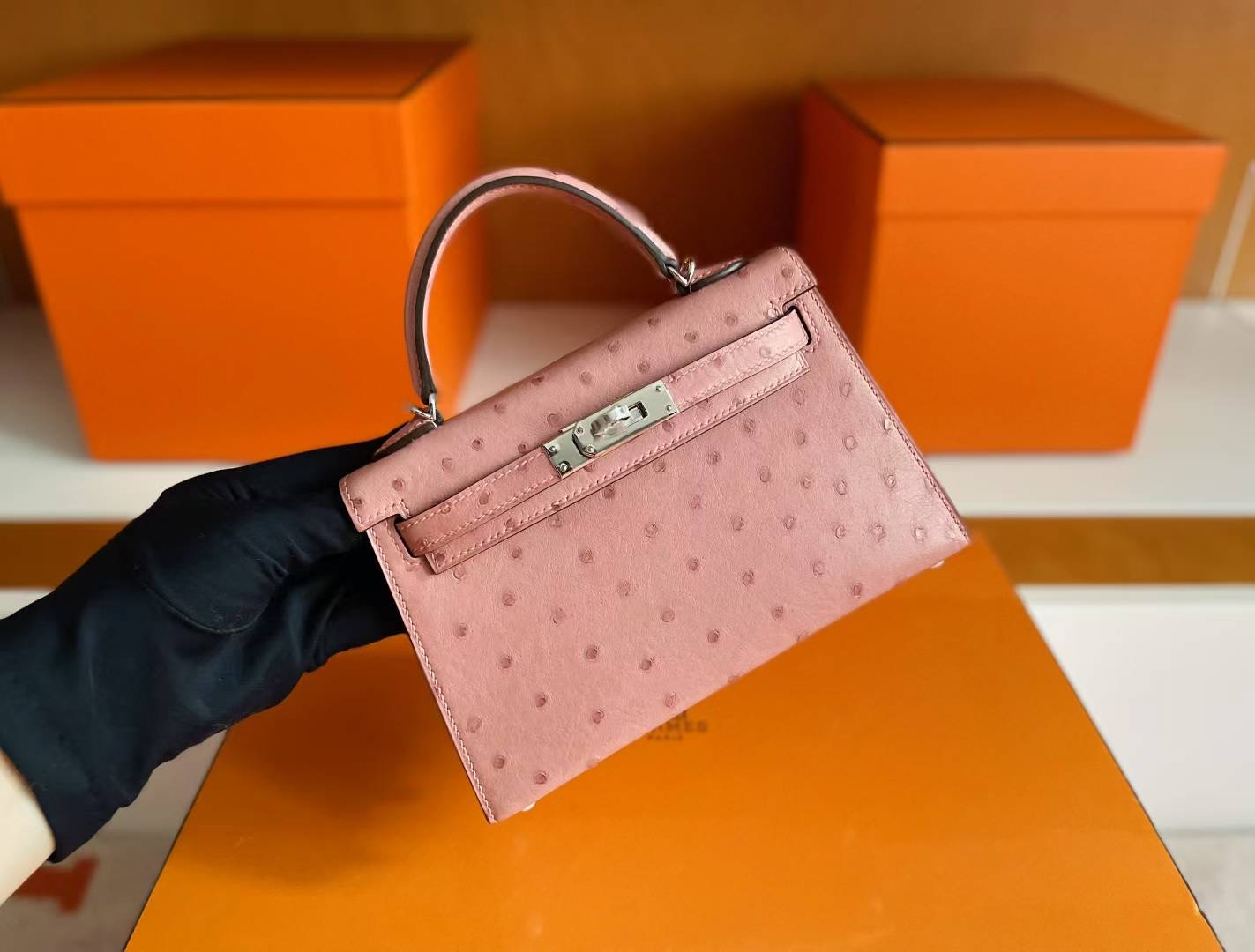 Mini KL2 Ostrich Ck94 Terre Cuite