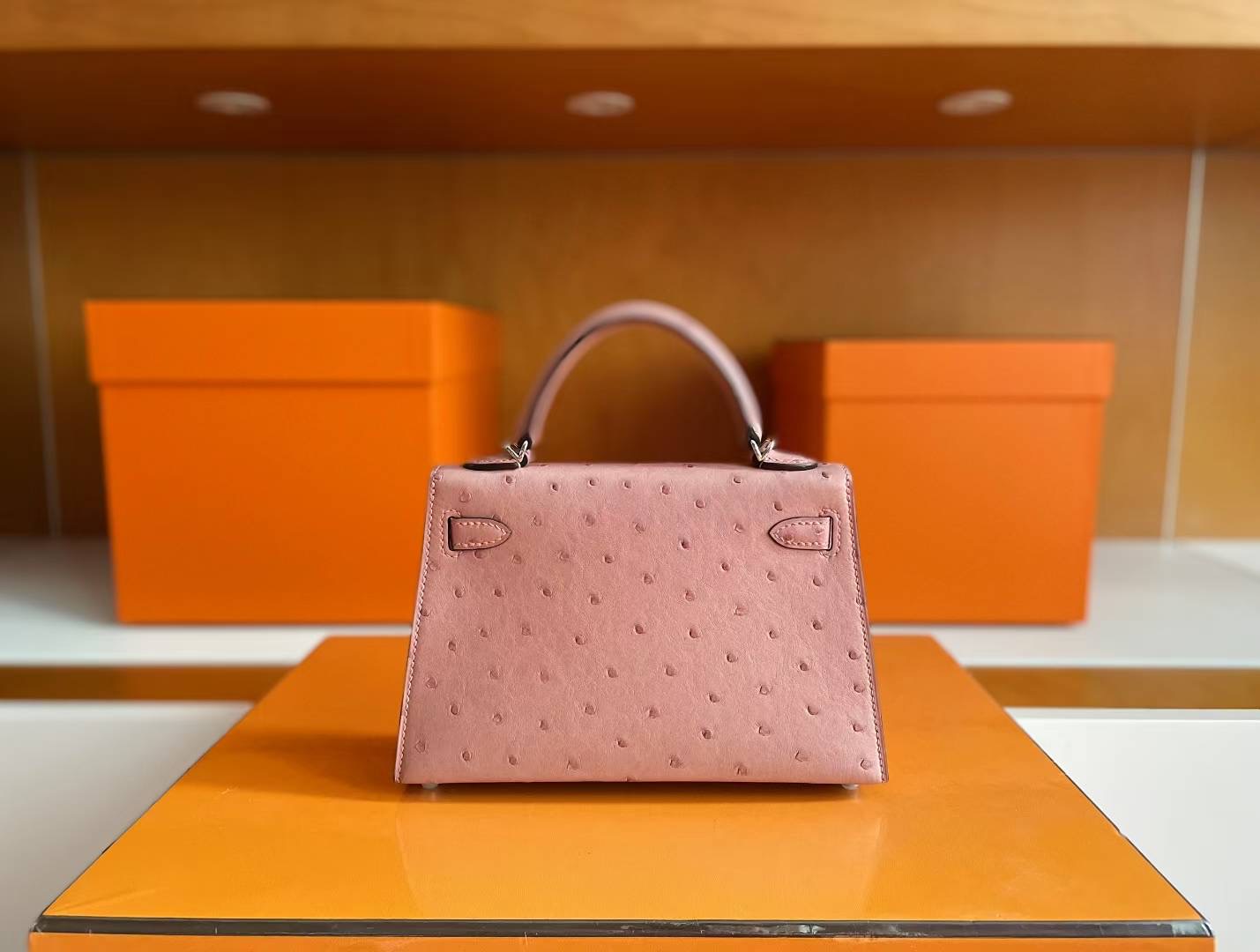Mini KL2 Ostrich Ck94 Terre Cuite