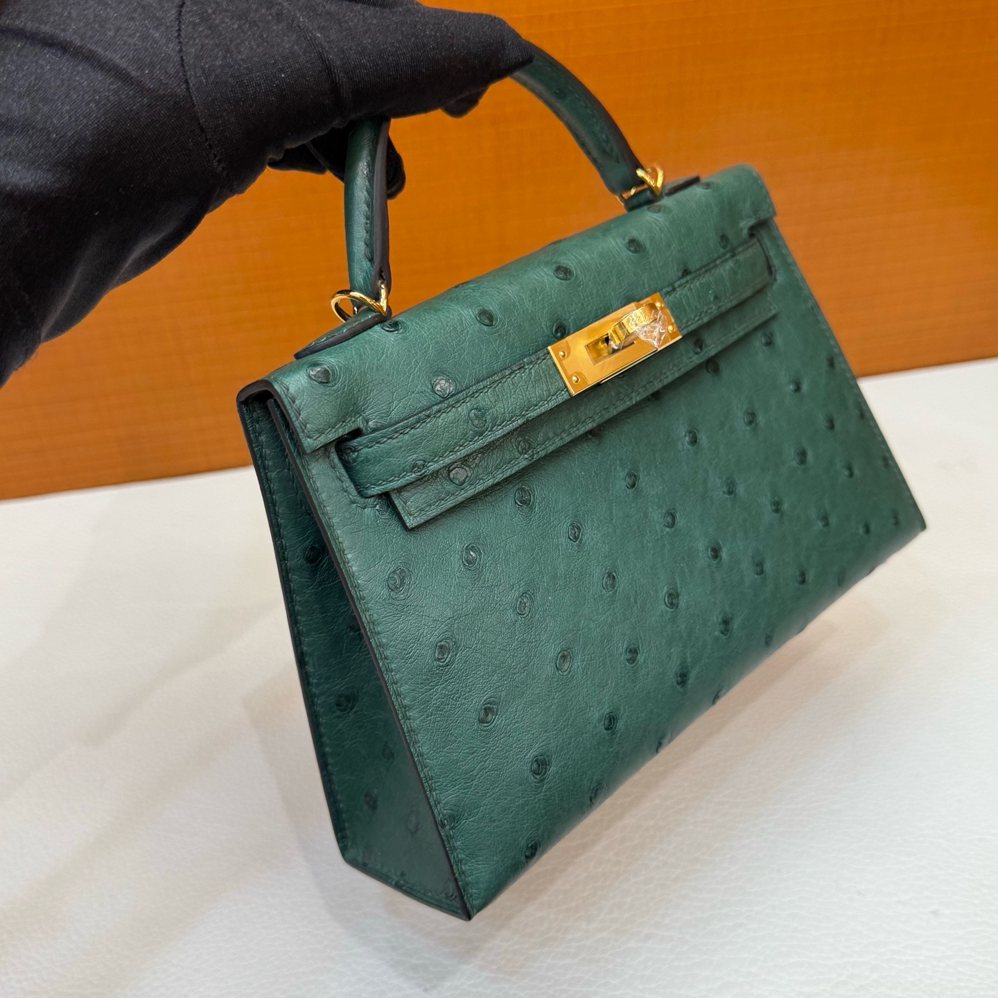 Mini KL Ostrich C67 Vert Foncé
