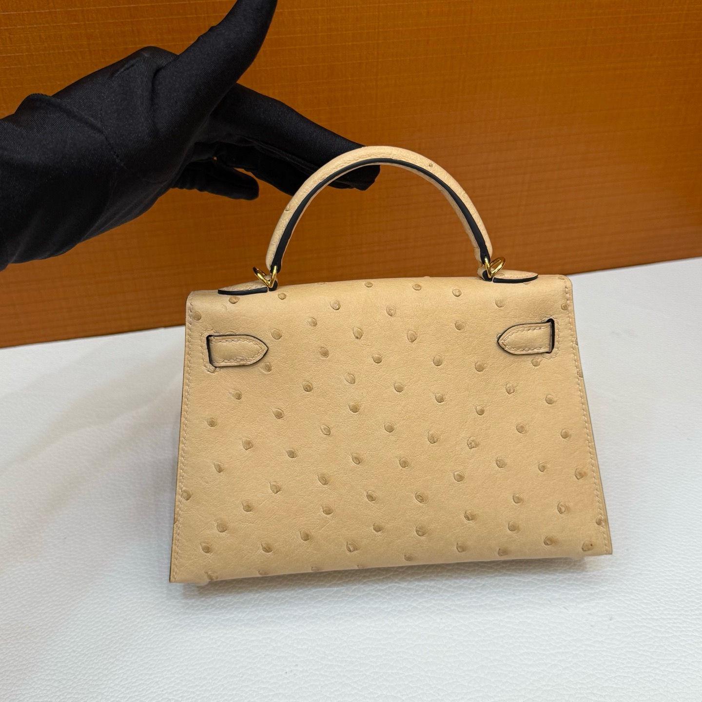 Mini KL 19cm Ostrich C19 Mousse