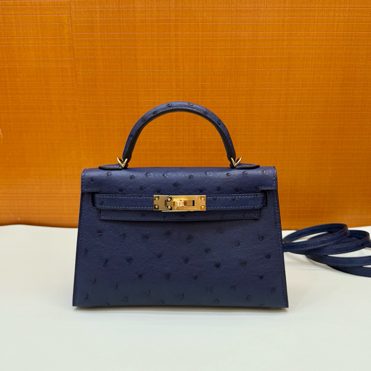 Mini KL 19cm Ostrich C73 Blue Sapphire Ghw-HaiLaBags Mini KL 19cm Ostrich C73 Blue Sapphire Ghw