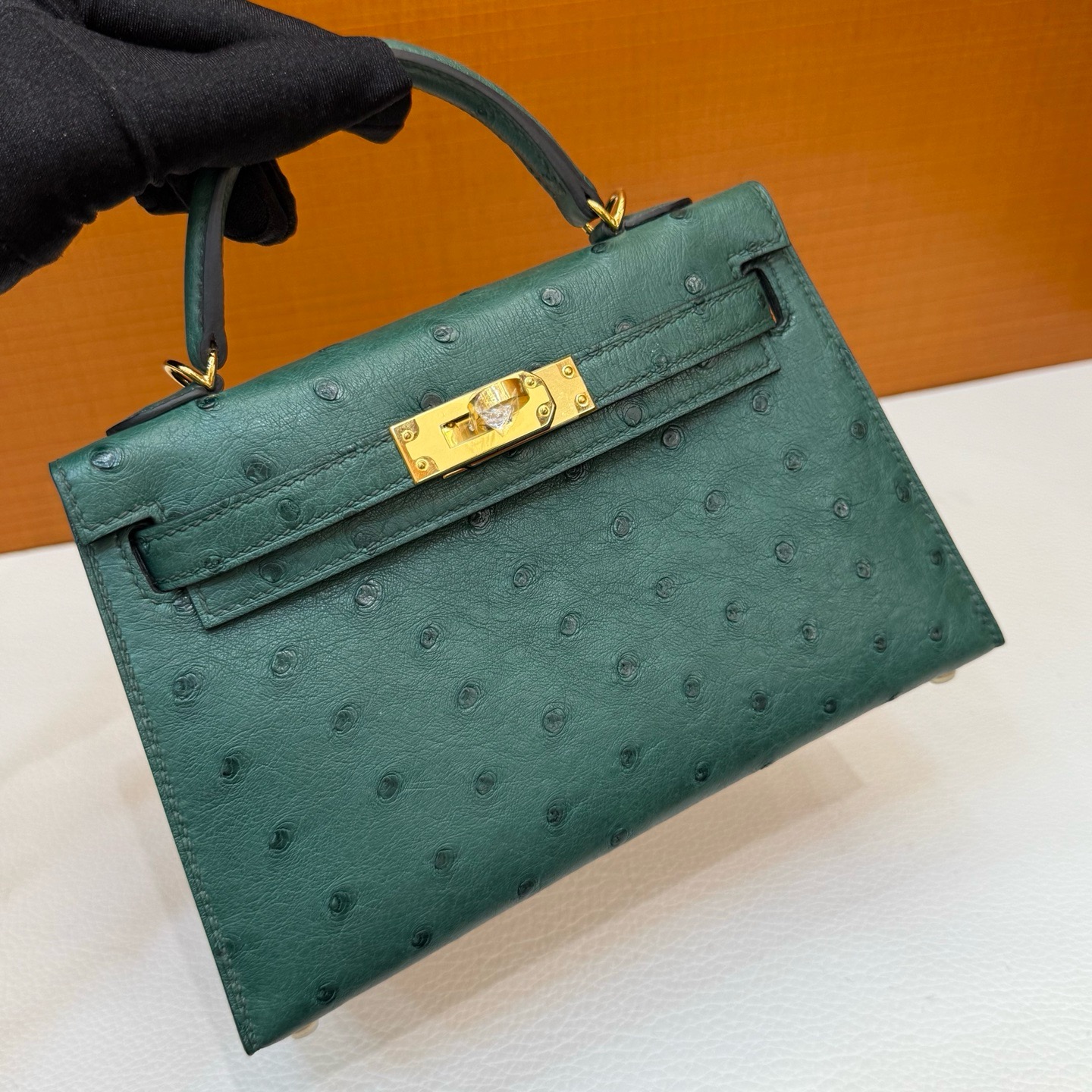 Mini KL Ostrich C67 Vert Foncé