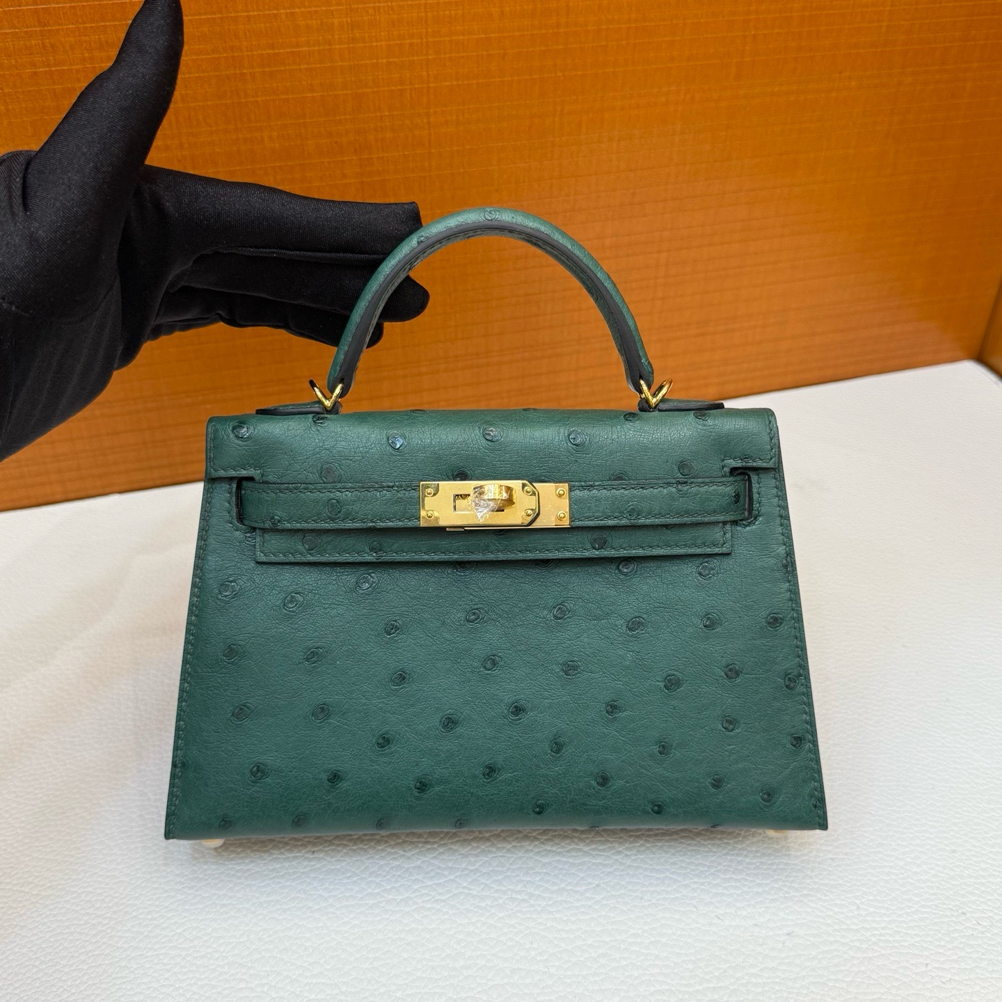 Mini KL Ostrich C67 Vert Foncé