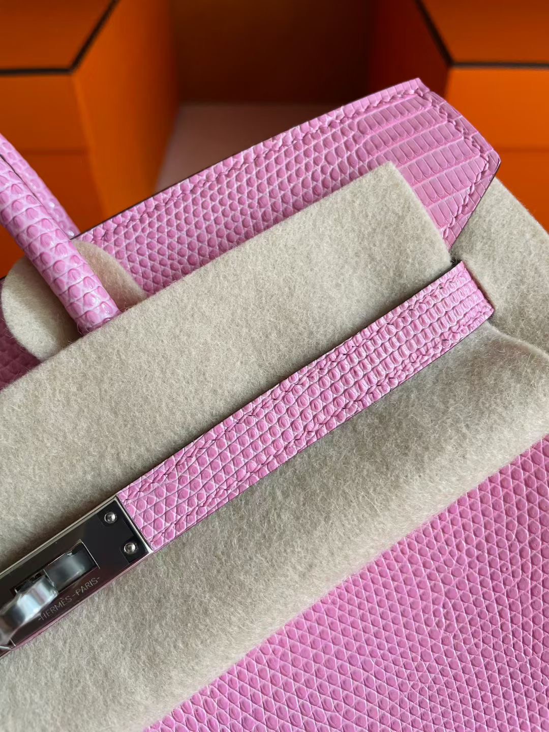 B25 Lizard 3Q Rose Sakura