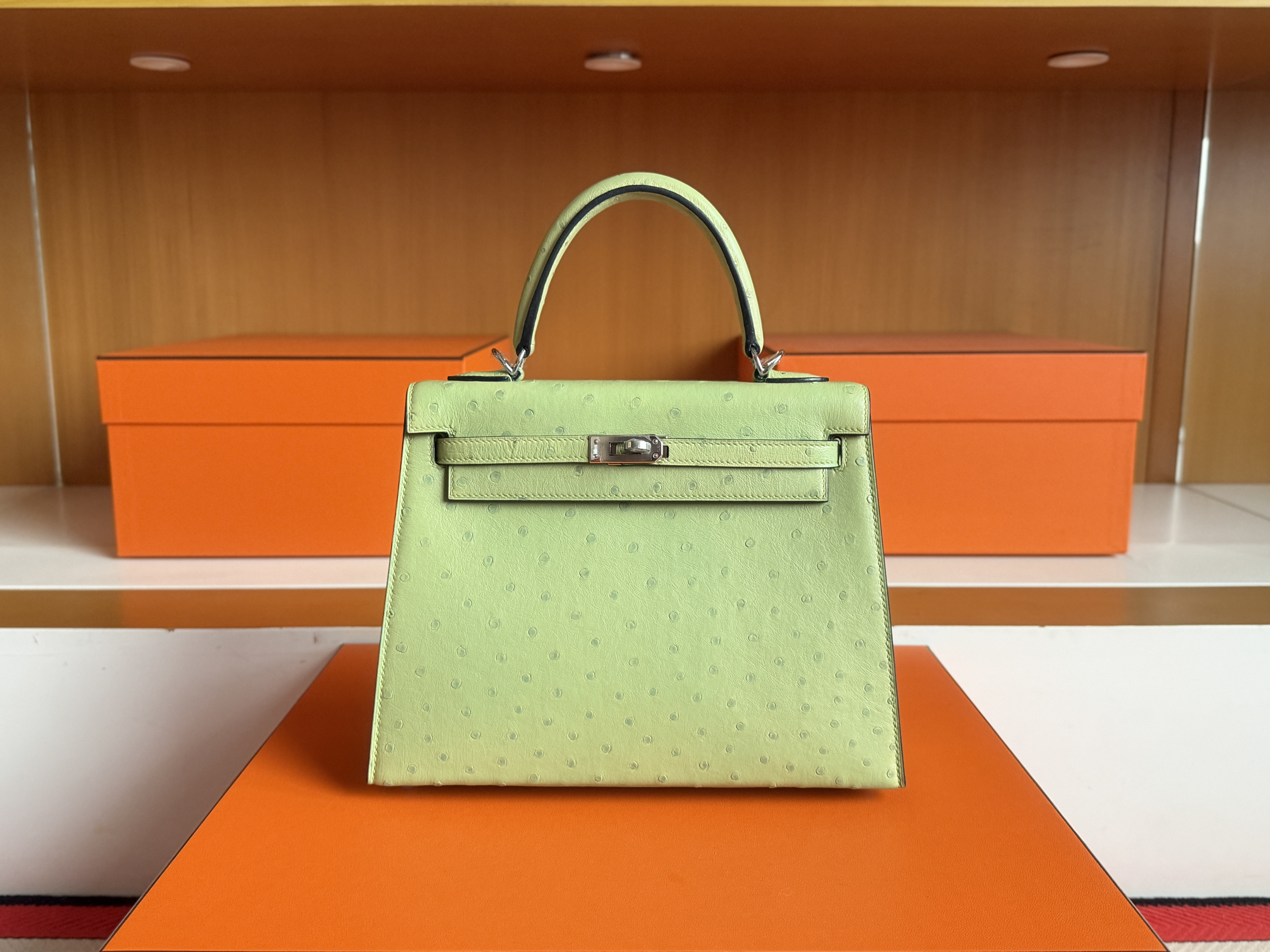 K28 Ostrich 3i Vert Criquet