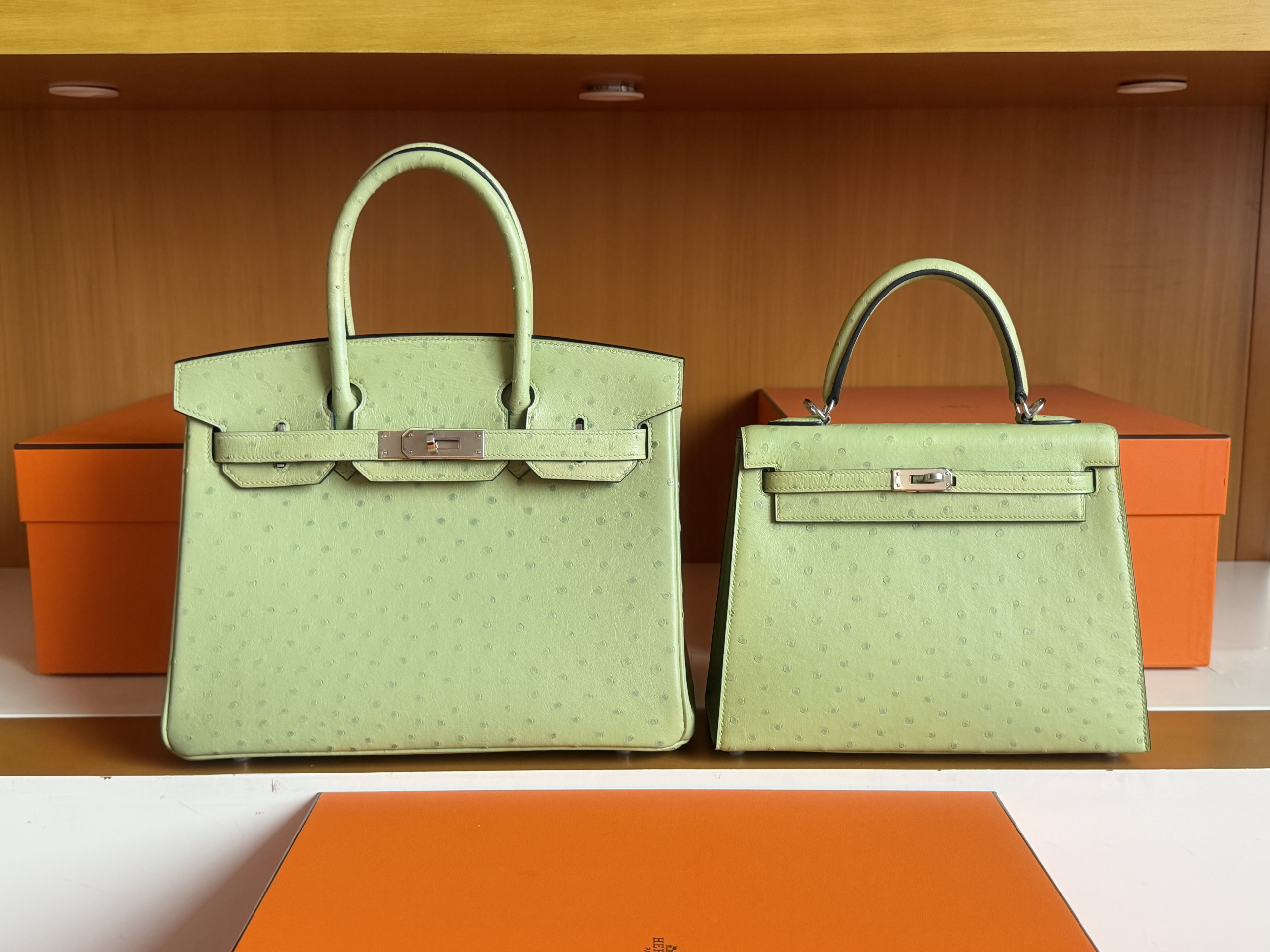 K28 Ostrich 3i Vert Criquet