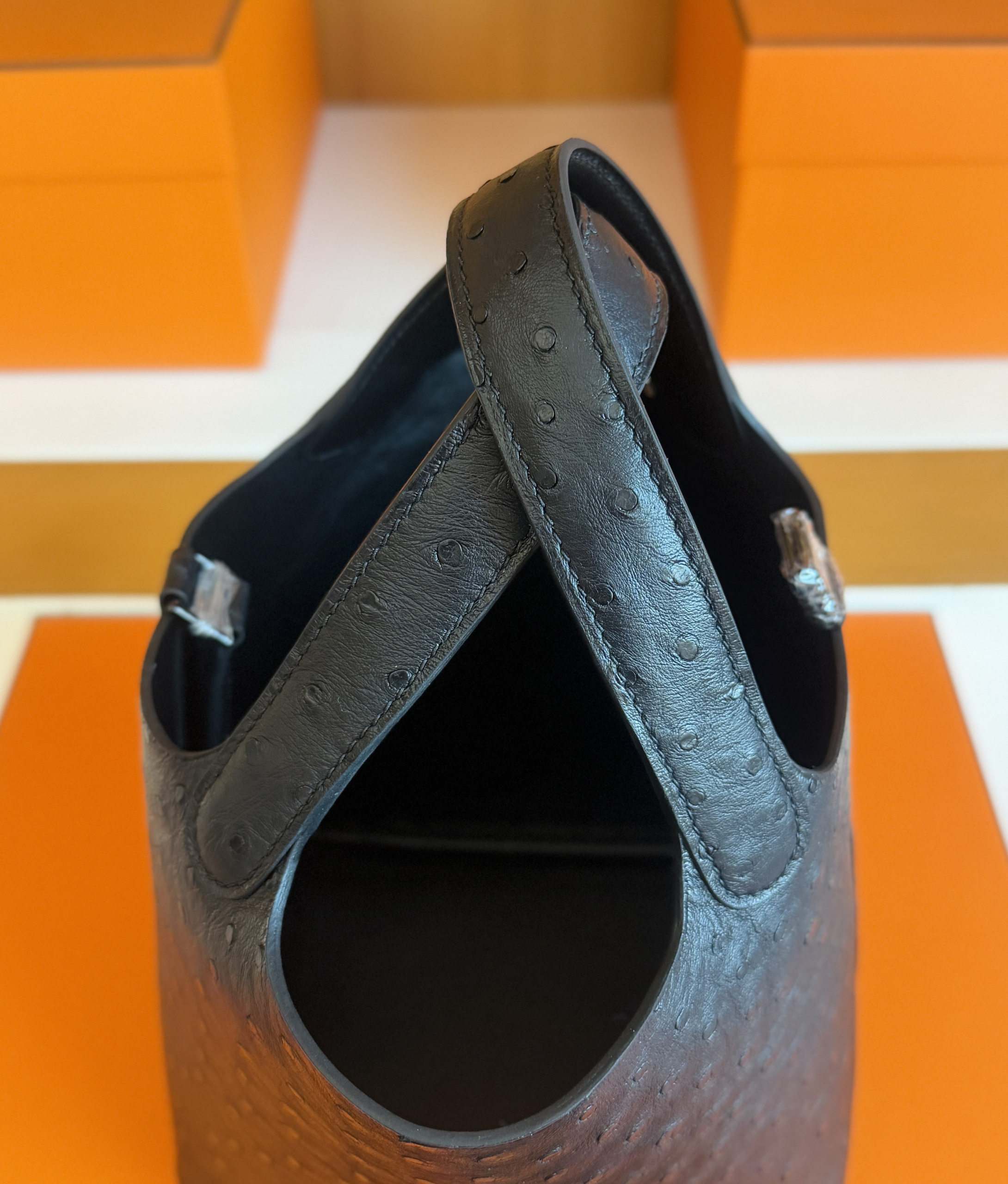 P18 Ostrich Ck89 Noir