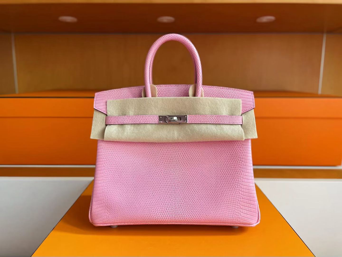 B25 Lizard 5P Pink