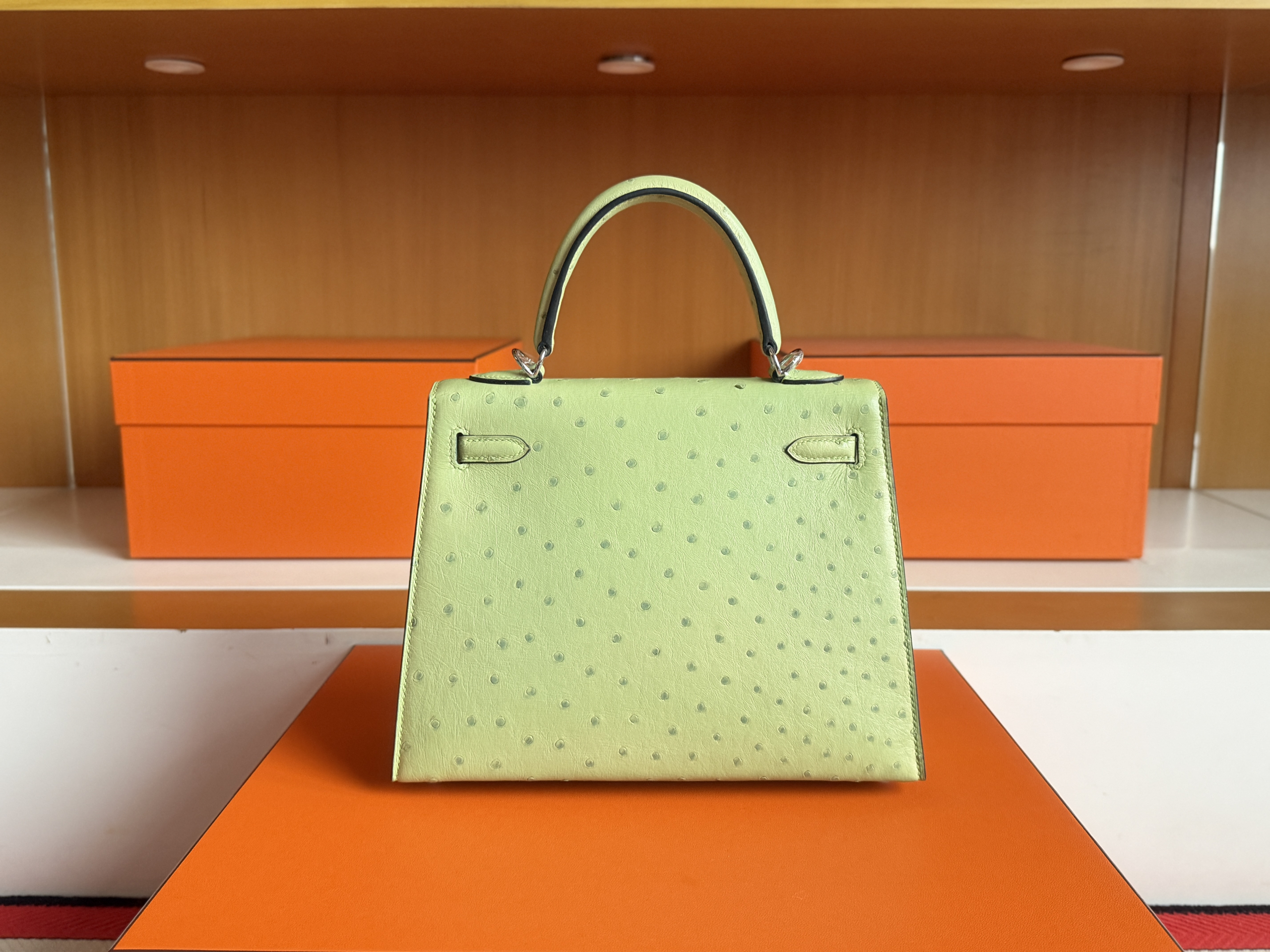 K28 Ostrich 3i Vert Criquet
