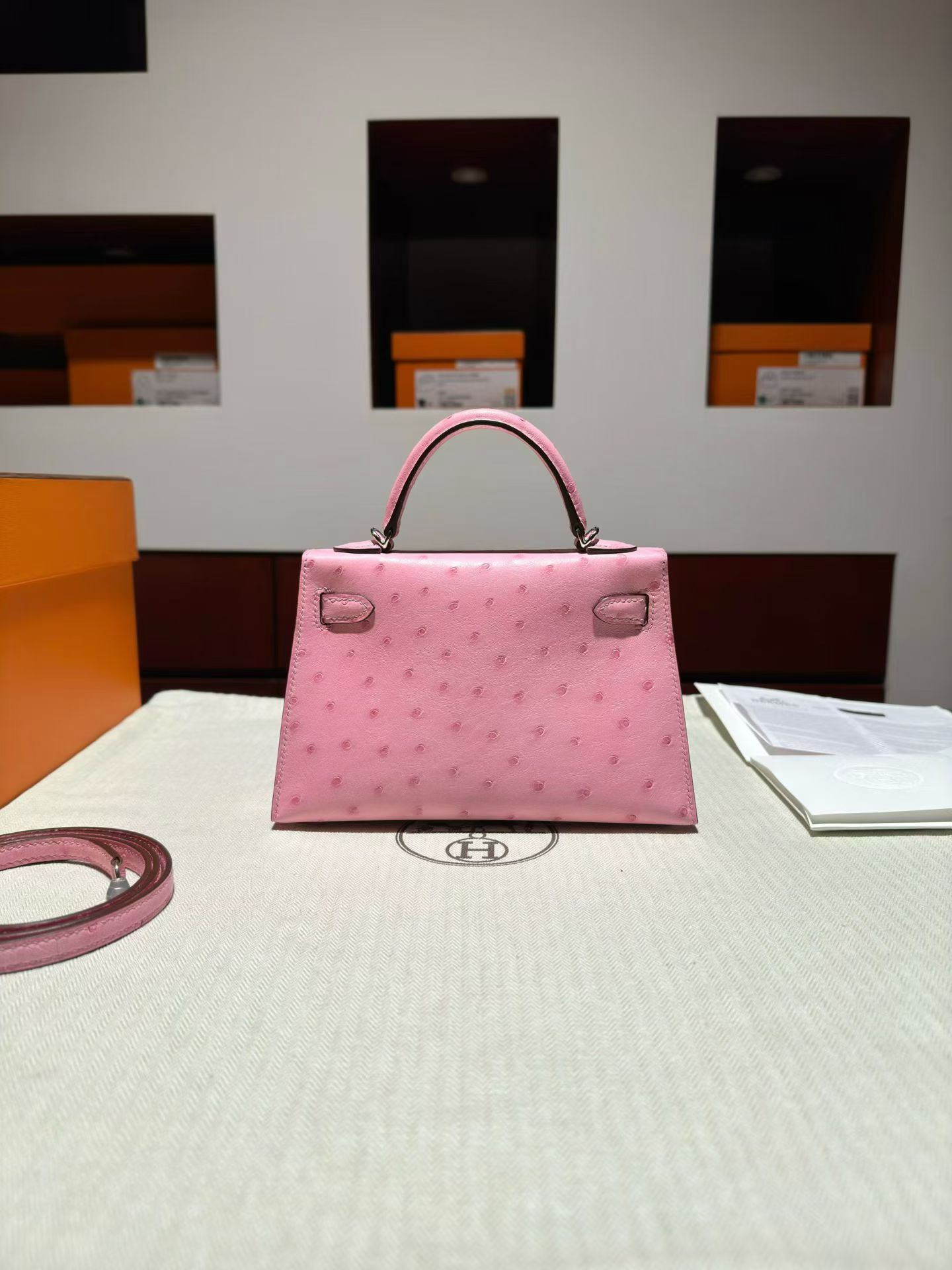 Mini KL 二代 鸵鸟 ostrich L3泡泡粉🫧 太美了