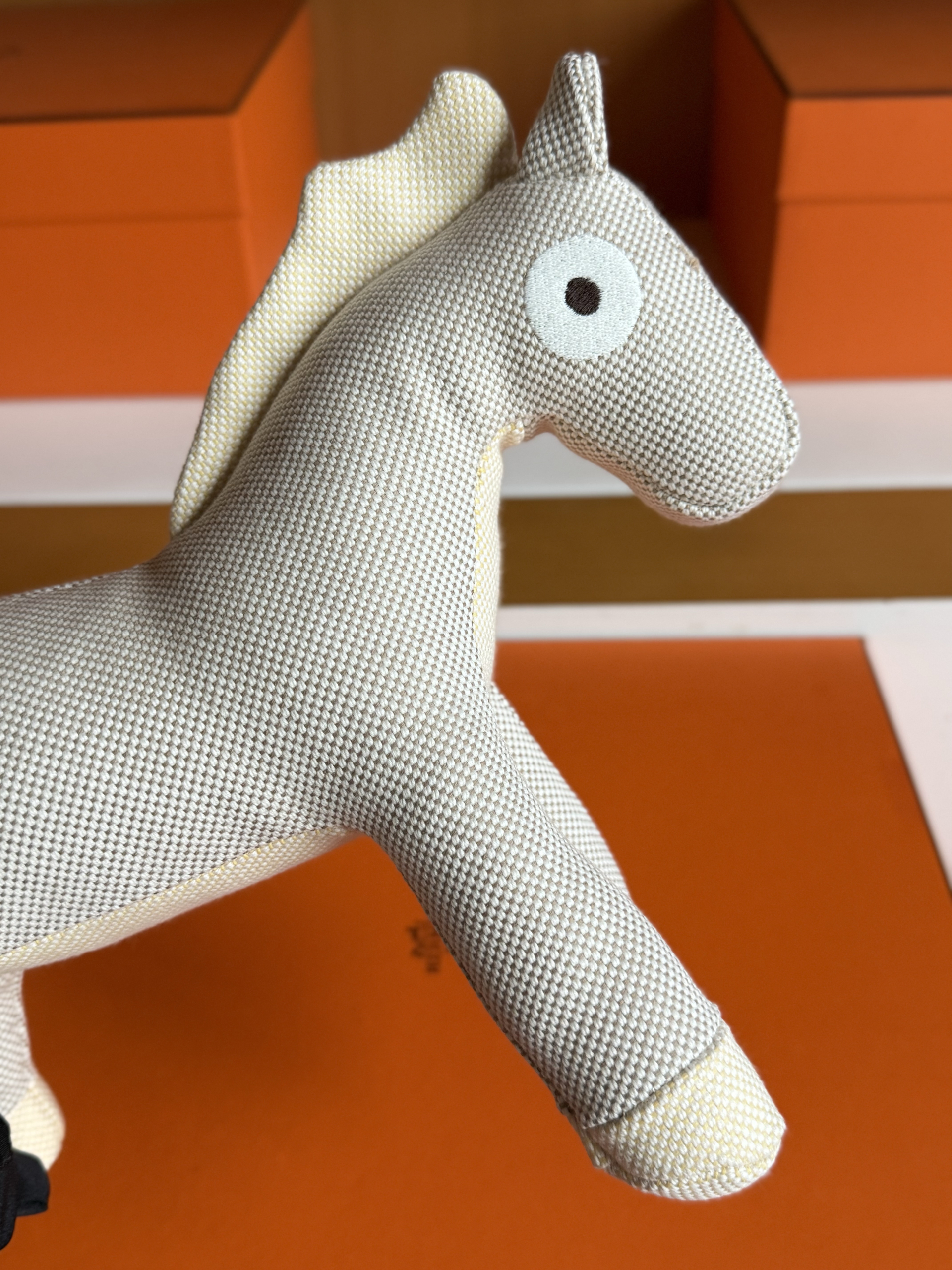 H Pony 🥰