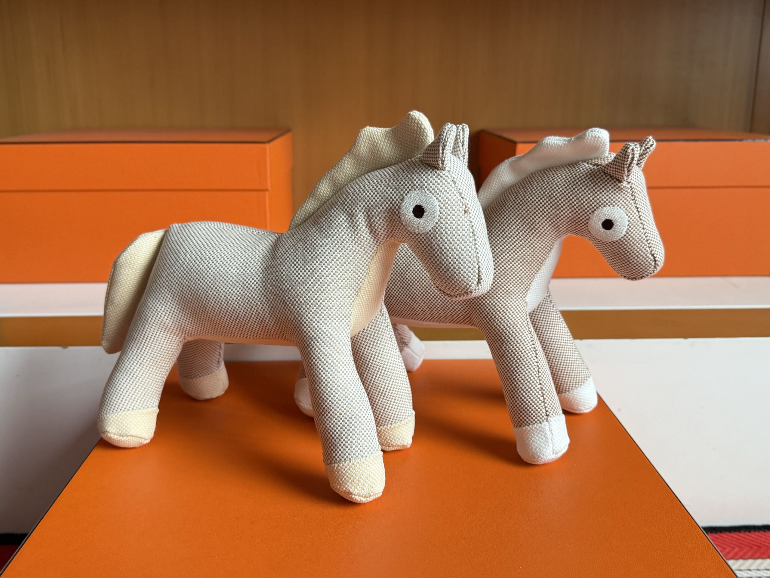 H Pony 🥰